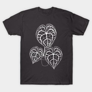 Anthurium clarinervium (white) T-Shirt